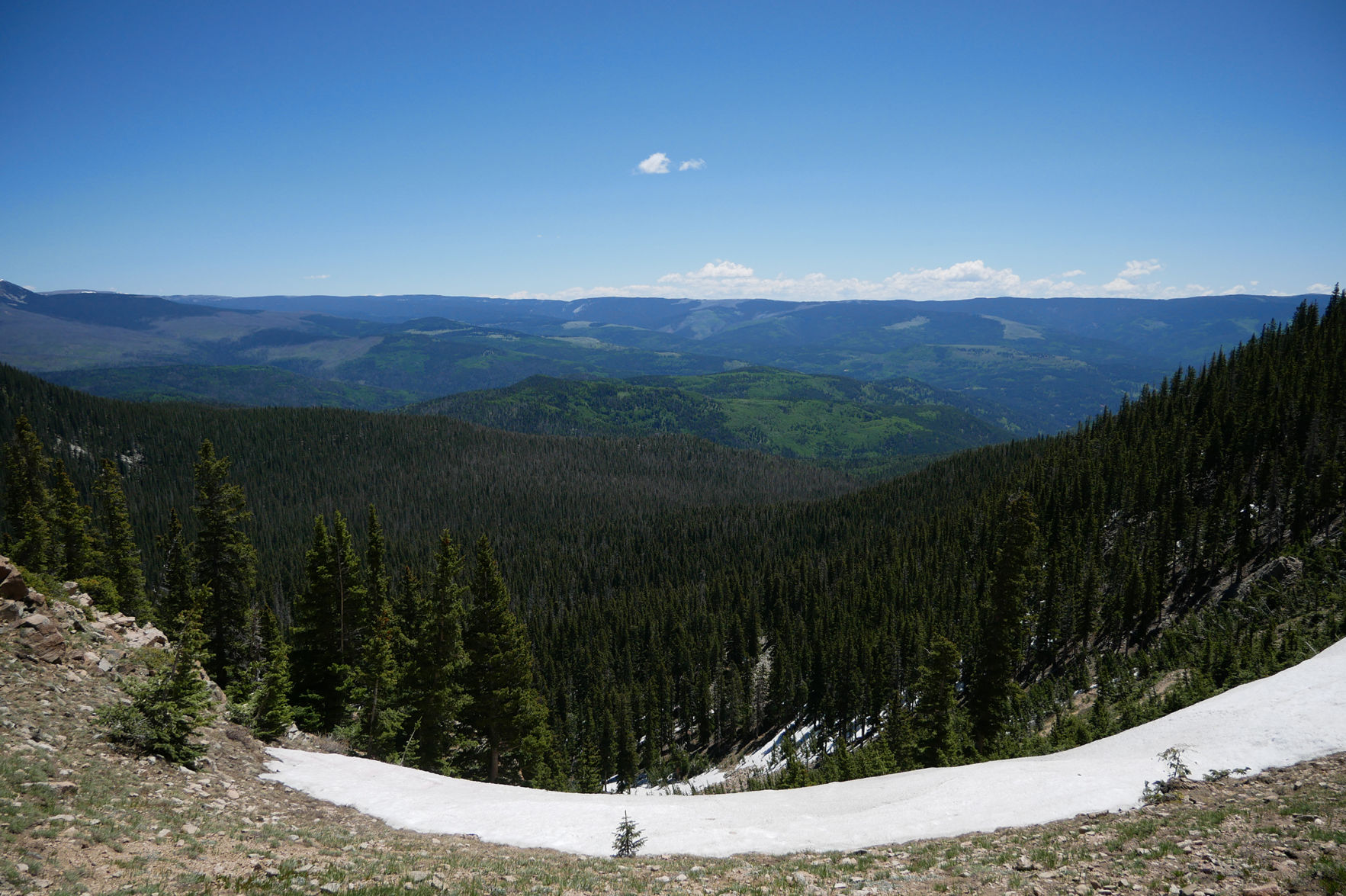 Baldy4.jpg